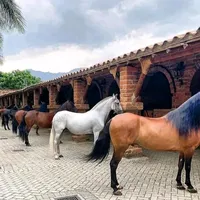 original sound - elcaba.llista1