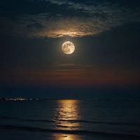 moonligt7h