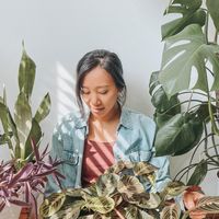 abbysimpleliving