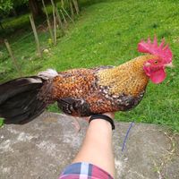 cr.victoriagutierrez