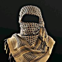 الصوت الأصلي