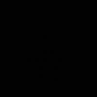 renattap06