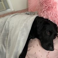 defnotmaddy11