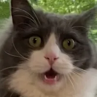 original sound - mitiai_s