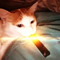 original sound - arachnerd01