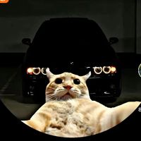 user8647161086