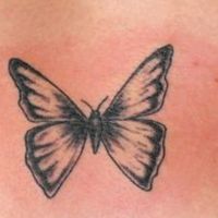 papillondoux06