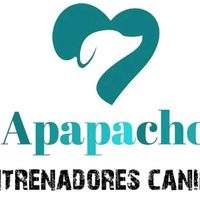 apapachoentrenadorescan