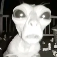 original sound - fishhead312