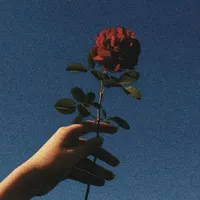 original sound - lyricfeelingss