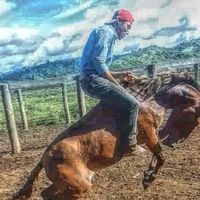 hudsonbarbosadoss7