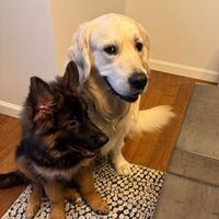 oscarandcasey