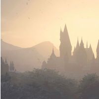 harry_potter_558