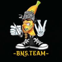 bns.team_
