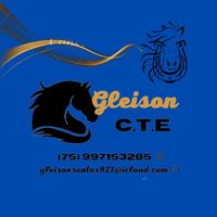 gleisoncte