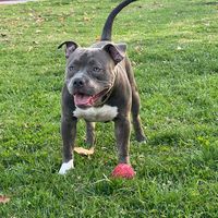zeus04586