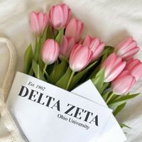 oudeltazeta
