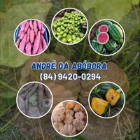 andr.da.abbora