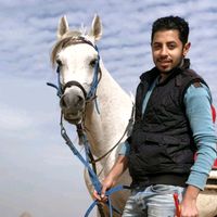mohamed_abobasha