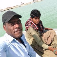 alibaloch66774