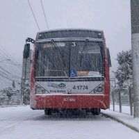davizin_bus