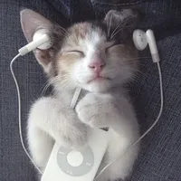 original sound - isldmusiclyrixs