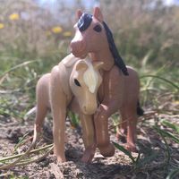 playmobil_horse_storys_