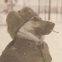 оригинальный звук