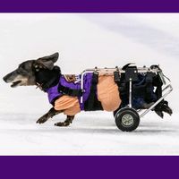 mightymax_thewienersquad