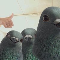 ch1pp9