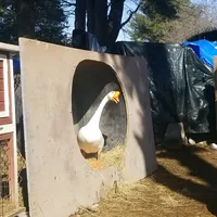 original sound - x0xsonjazx0x