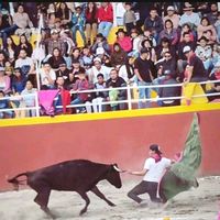 jorgeyupangui77