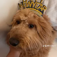 original sound - mylac17