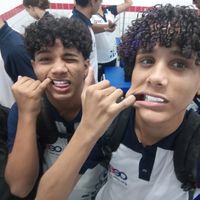 os_introsa