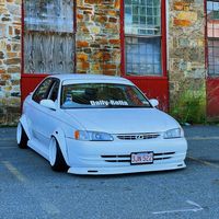 dailyrolla