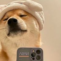 pets.dogbaby.606