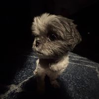 angle_santiago
