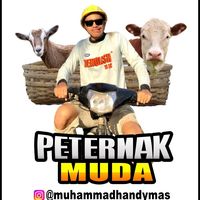 suara asli - 🐂Peternak muda🐄
