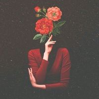 angiee_2512.tl