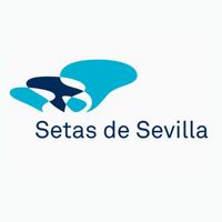 setasdesevilla