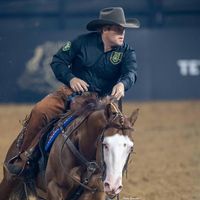 dearyperformancehorses