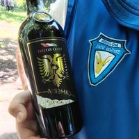 vini_nojder
