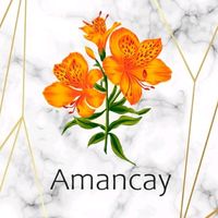 amancay08u