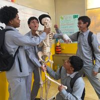 los.mas.norios.del.a