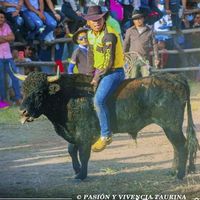nilosebas
