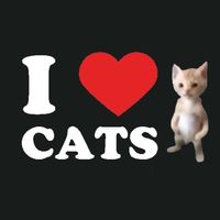 suara asli - squentellysss