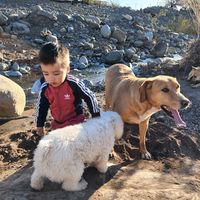 chiquin_ollita_pailita