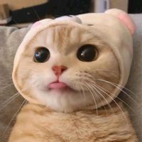 nlyric2