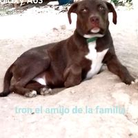 oswinmartinez3