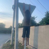 оригінальний звук